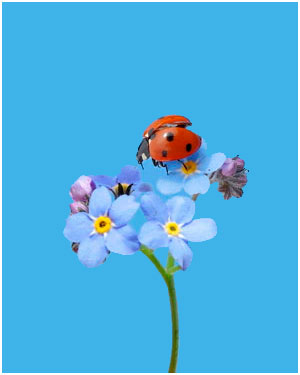 Jahreszeit: Den Frühling im Bild festgehalten.